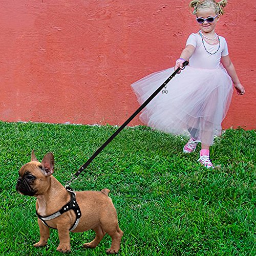 Beirui Soft Cat Harness -Rhinestone Leather Dog Harness Leash Set Cat Puppy Sparkly Crystal Vest & 4 Ft Lead For Small Medium Cats Pets Chihuahua Poodle Shih Tzu,Black,Small Chest For 14-15.5" #TOP2
