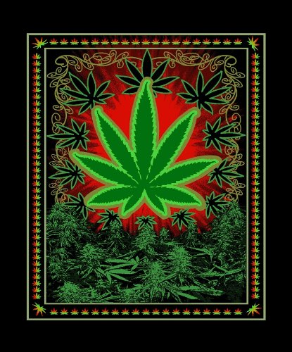 Heavy 3 KG Thick Soft Green Marijuana Chiko Leaf Mink Blanket Queen