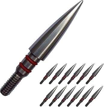 Field Points arrowheads 100/125/150/200/300 Grains Archery Field Points,Stainless Steel Screw in Archery Field Tips and Broadheads 1 Dozen 12 PCS