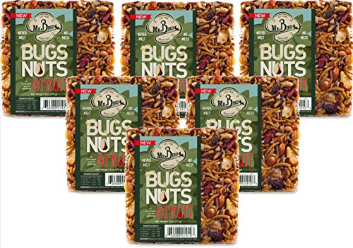 Mr. Bird6-Pack Bugs, Nuts, & Fruit Small Wild Bird Seed Cake 6 oz.