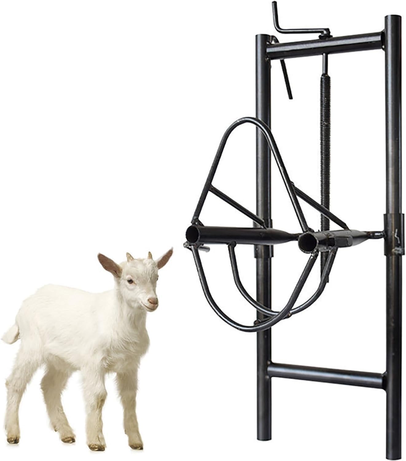 Supporto per capre, Supporto Regolabile per capre e Pecore, Supporto per tosatura in Alluminio per Bestiame, Supporto per tosatura Facile per Pecore, per Animali da Fattoria con Corna