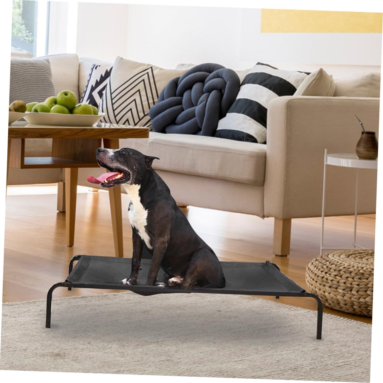 Durable Dog Bed Cover Replacement Breathable All Season Mesh for Indoor Outdoor Use Stylish Design for Small Pets Fits Frame