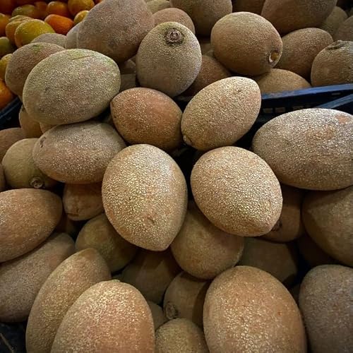 Fresh Mamey Sapote Fruit Tropical Brown Skin with Orange Flesh, Large Size - Enjoyed fresh in Salads, Smoothies, Desserts, Milkshakes and Snacking (4 Count Large (5lbs - 8lbs))