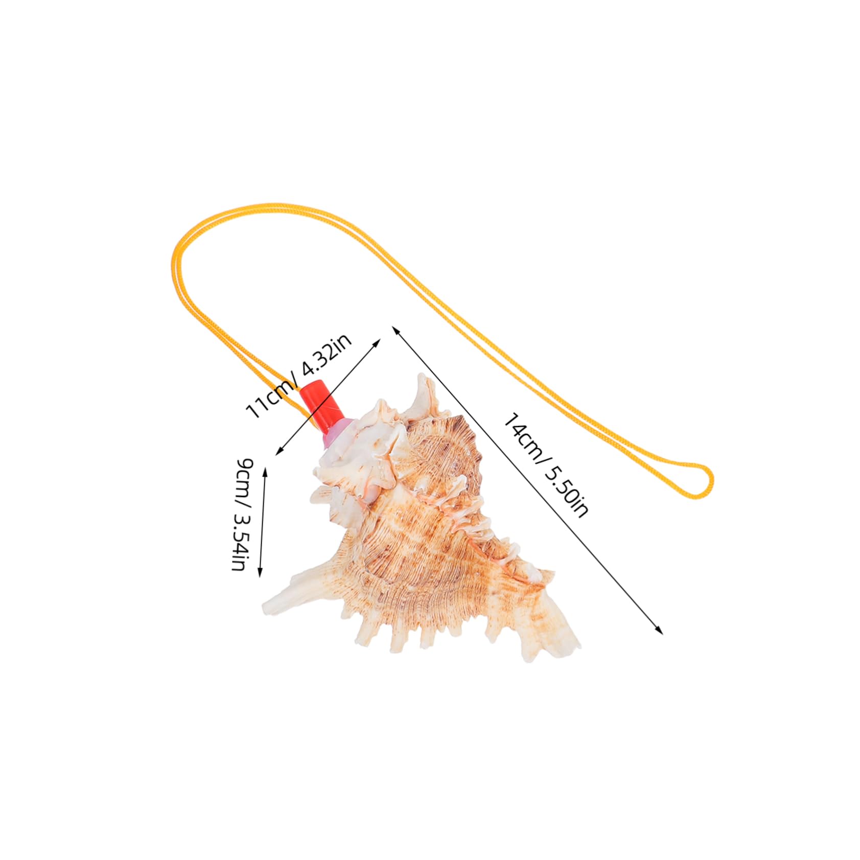 BESTonZON 2Pcs Conch Shell Horn Whistle Style Trumpet for Home Decor Natural Sea Conch Blowing Horn for Festive Occasions Playable Instrument for Relaxing Sounds and Unique