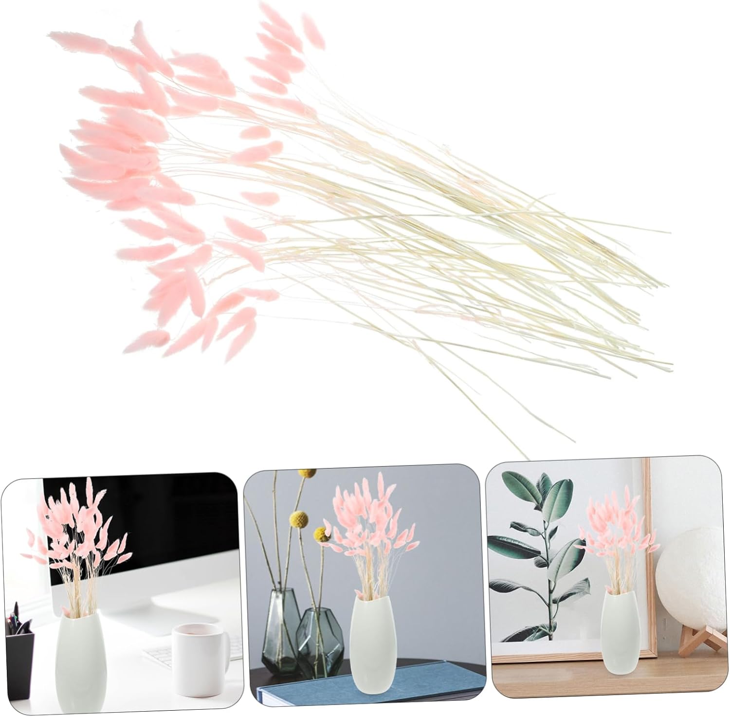 Luxshiny 120pcs Dried Bunny Tail Grass Natural Decorative Flower Arrangement for Home Decor Wedding Vibrant Dried Tail Grass for Elegant Table Centerpieces