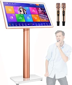 Professional Karaoke System,22 inch Capacitive Touch Screen Karaoke Machine With Wireless Microphone,4K High-Definition Karaoke Equipment,27 Languages,for Bar Home Party2TB