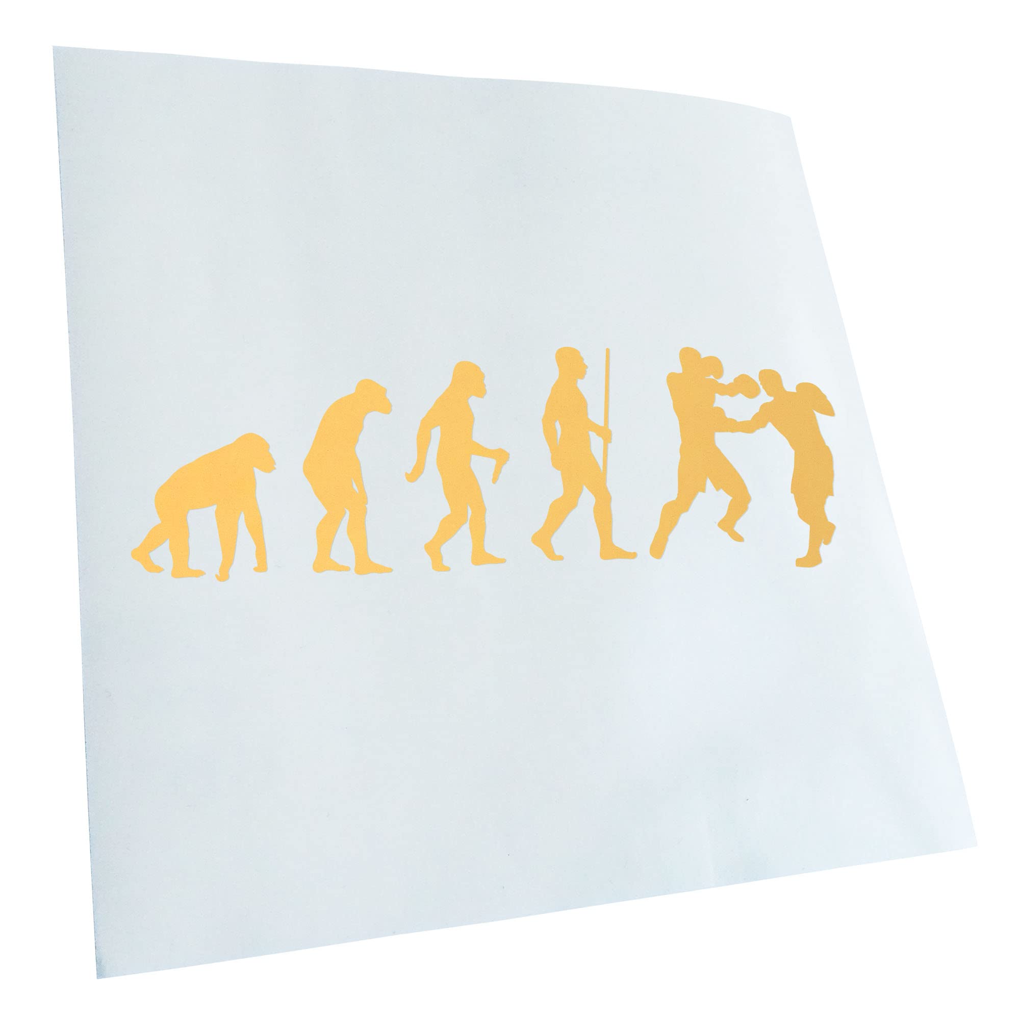 Kiwistar Boxing Knockout Evolution Sticker 25 Colours Neon Matt