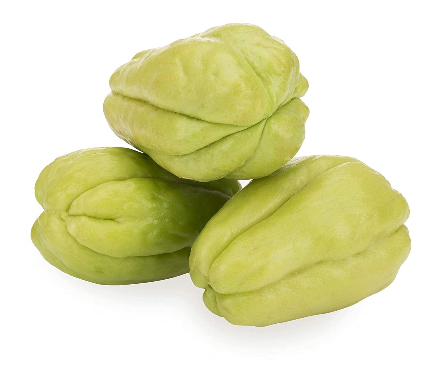 Fresh Chow Chow, 250g : Amazon.in: Grocery & Gourmet Foods
