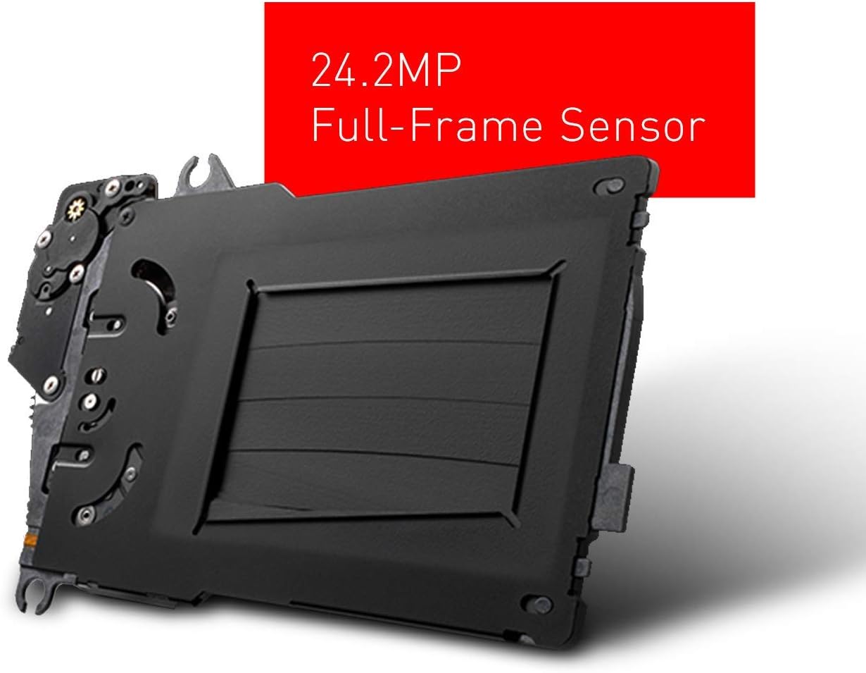 panasonic lumix s1h digital mirrorless video camera with 24 2 full frame sensor 6k24p video recording capability v logv gamut and multi aspect re