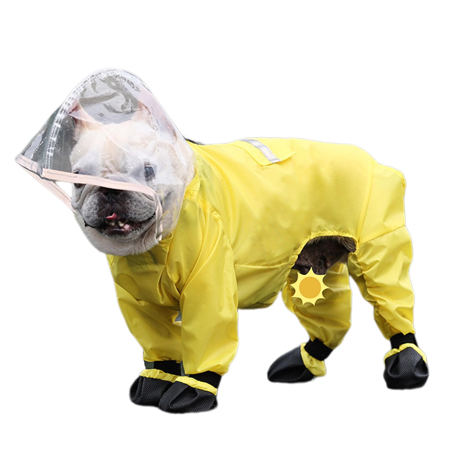 Manteau de pluie pour chien réfléchissant idéal pour la marche nocturne