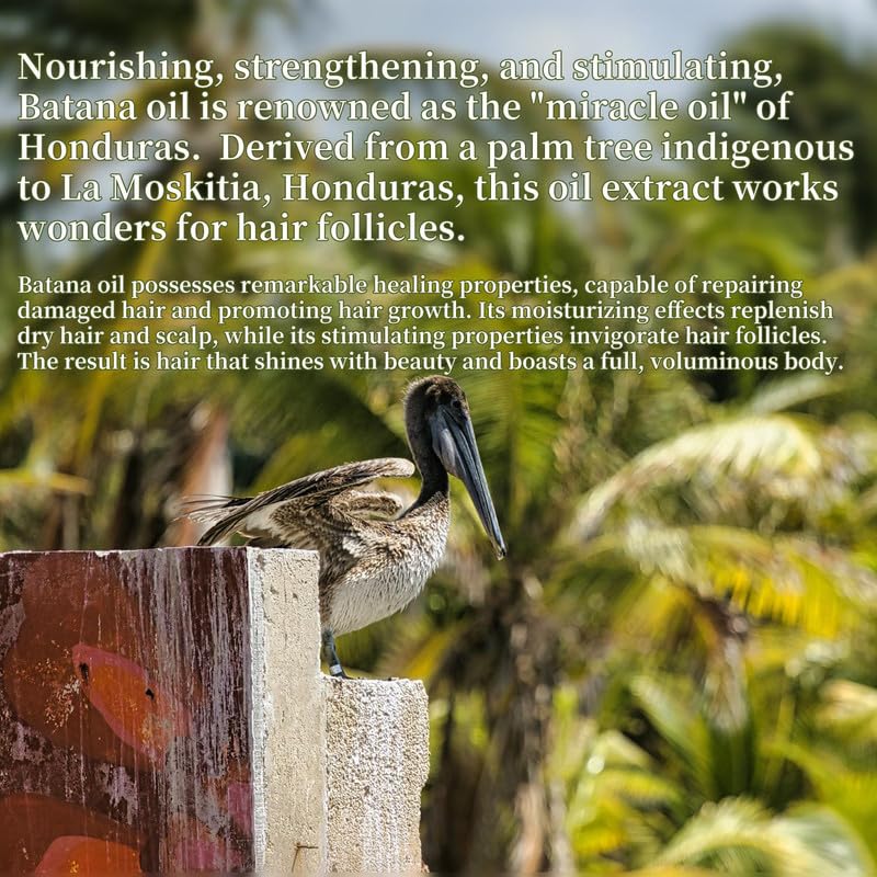 Miniatura 9 de Aceite de batana para crecimiento Hai, 100% puro y natural, aceite de batana crudo Dr. Sebi orgánico de Honduras, cuidado del grosor del cabello,