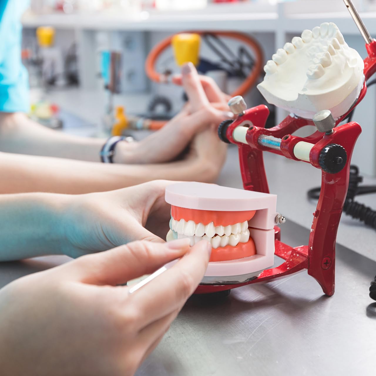 VALICLUD Modelo De Dientes Estándar Dental Herramienta Didáctica Plástico Ecológico 3D 3.62X2.95X2.00In