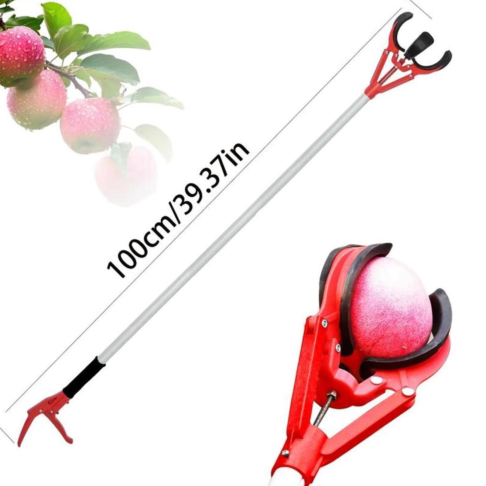 Gralara Cueilleur de Fruits avec Trois Griffes En Caoutchouc Polyvalent pour Obtenir Des Fruits Orange