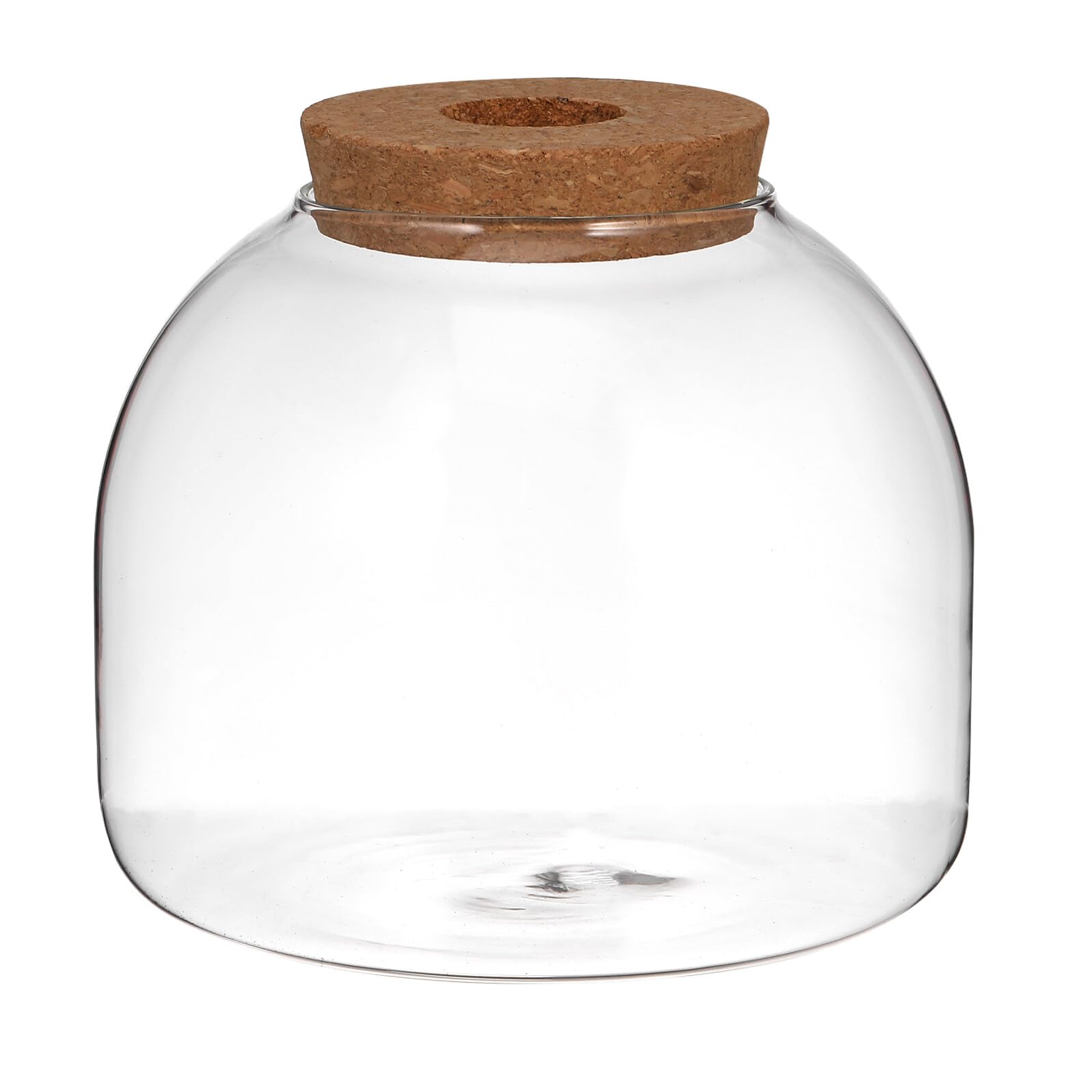 SHINEOFI Terrario Ecosistemico in Vetro con Tappo in Legno, Contenitore per Piante Idroponiche e Micro Paesaggi, Decorazione per Casa, Ufficio e Fai da Te, Vaso Terrario per Piante e Fiori