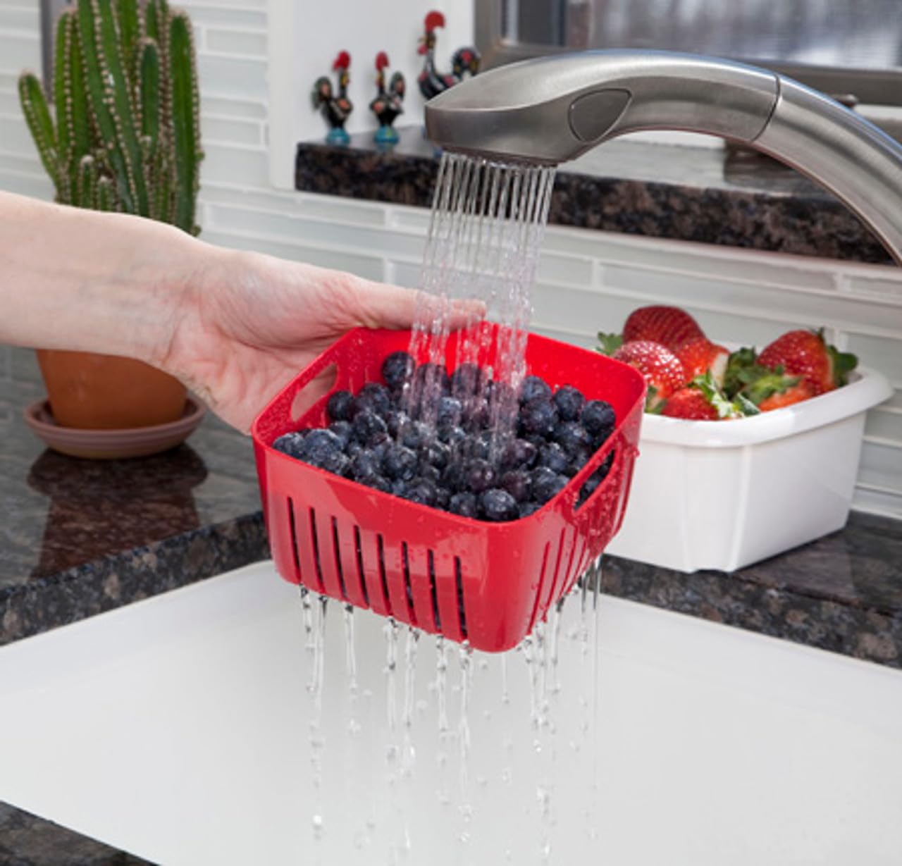 Amazon.com: Hutzler 3-in-1 Berry Keeper Colander and Container