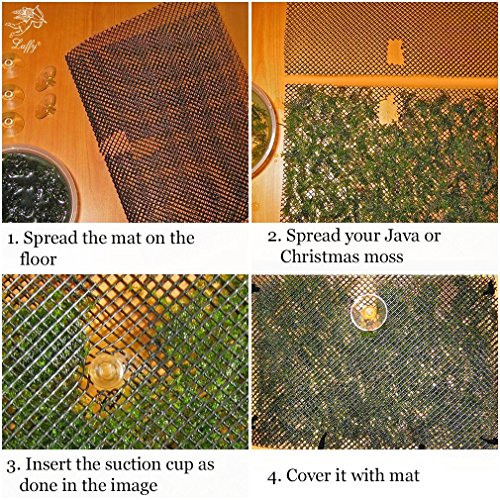Luffy Wild Christmas Moss in Loose Form Lush, Green Moss for Aquarium Decor - Create a Moss Wall or Moss Carpet - Soft and Comforting for Fish - Shrimp's & Fry's Food