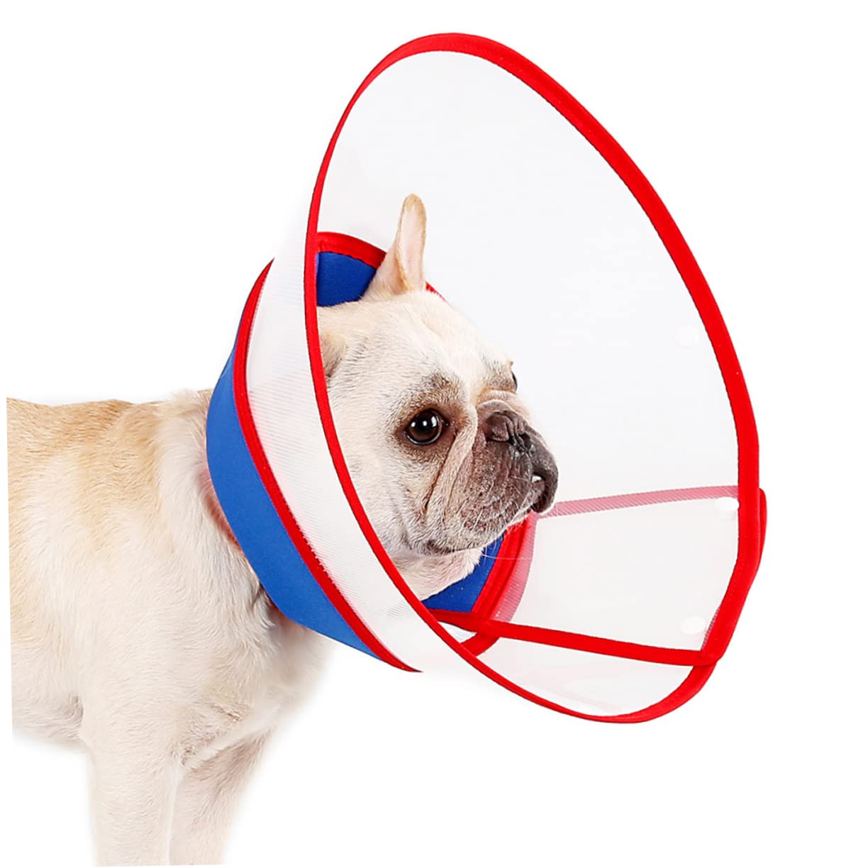 Kisangel 3stücke Einstellbarer Pet Cone Für Hunde Atmungsaktive Und Bequeme Halskrause Zur Wundheilung Verhindert Lecken Und Kratzen Transparent Geeignet Für Kleine Und Mittlere Hunde