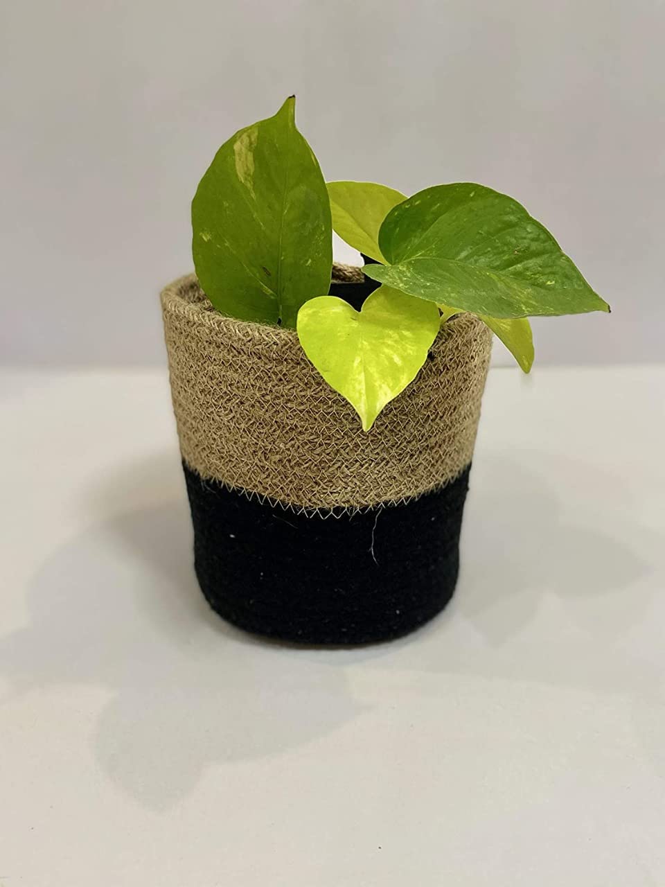 ZAVEZA - Home Kart Jute Eco-Friendly Planter Pots, Storage Basket, Multi-Purpose Use for Indoor & Outdoor (Size - L 6 x W 6 Inches) (B0BGFWXN6P) Amazon Price History, Amazon Price Tracker