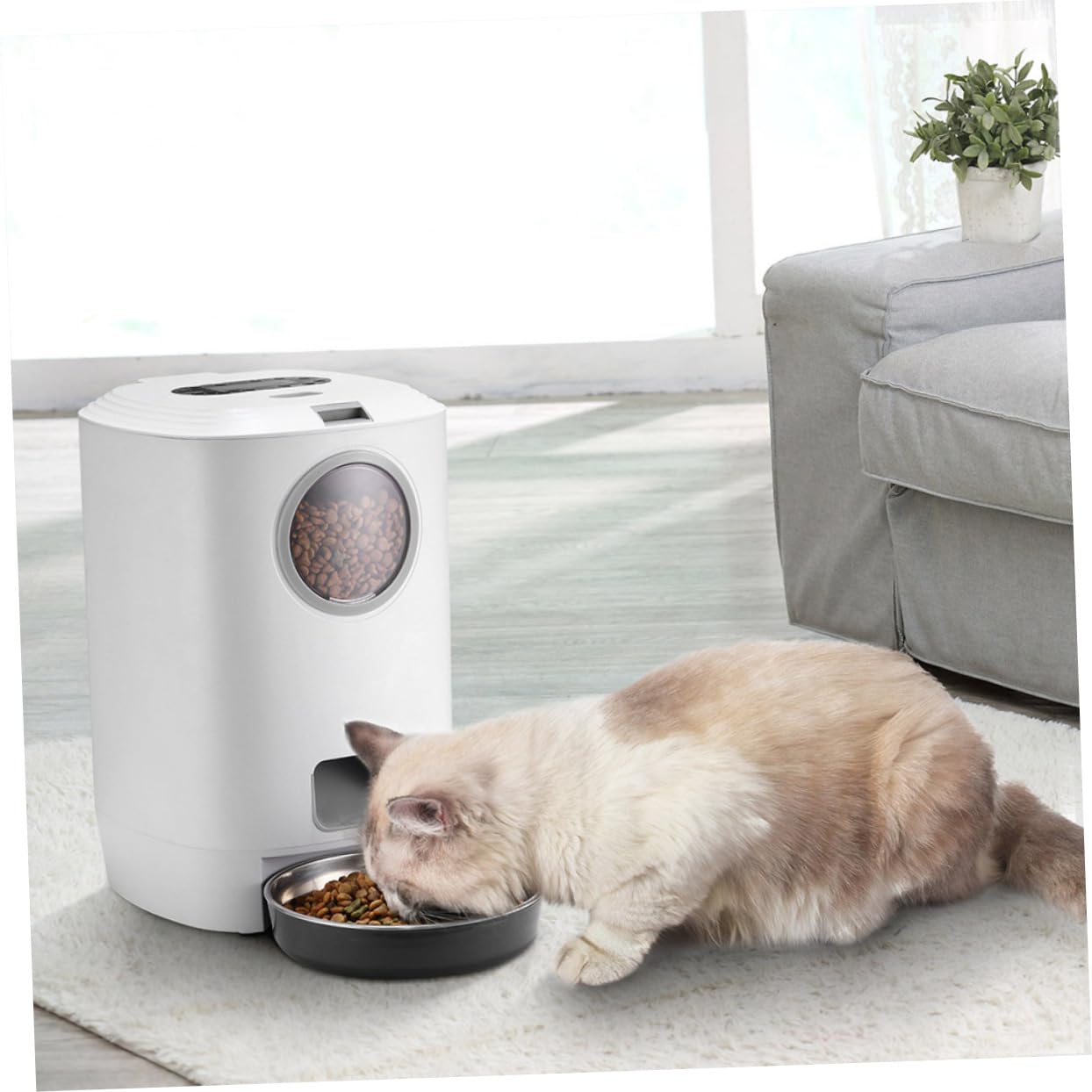 Ipetboom Mangiatoia Automatica Per Cani E Gatti Da 4 5 L Con Timer Ciotola Per Alimenti Di Capacità Design Compatto in Abs