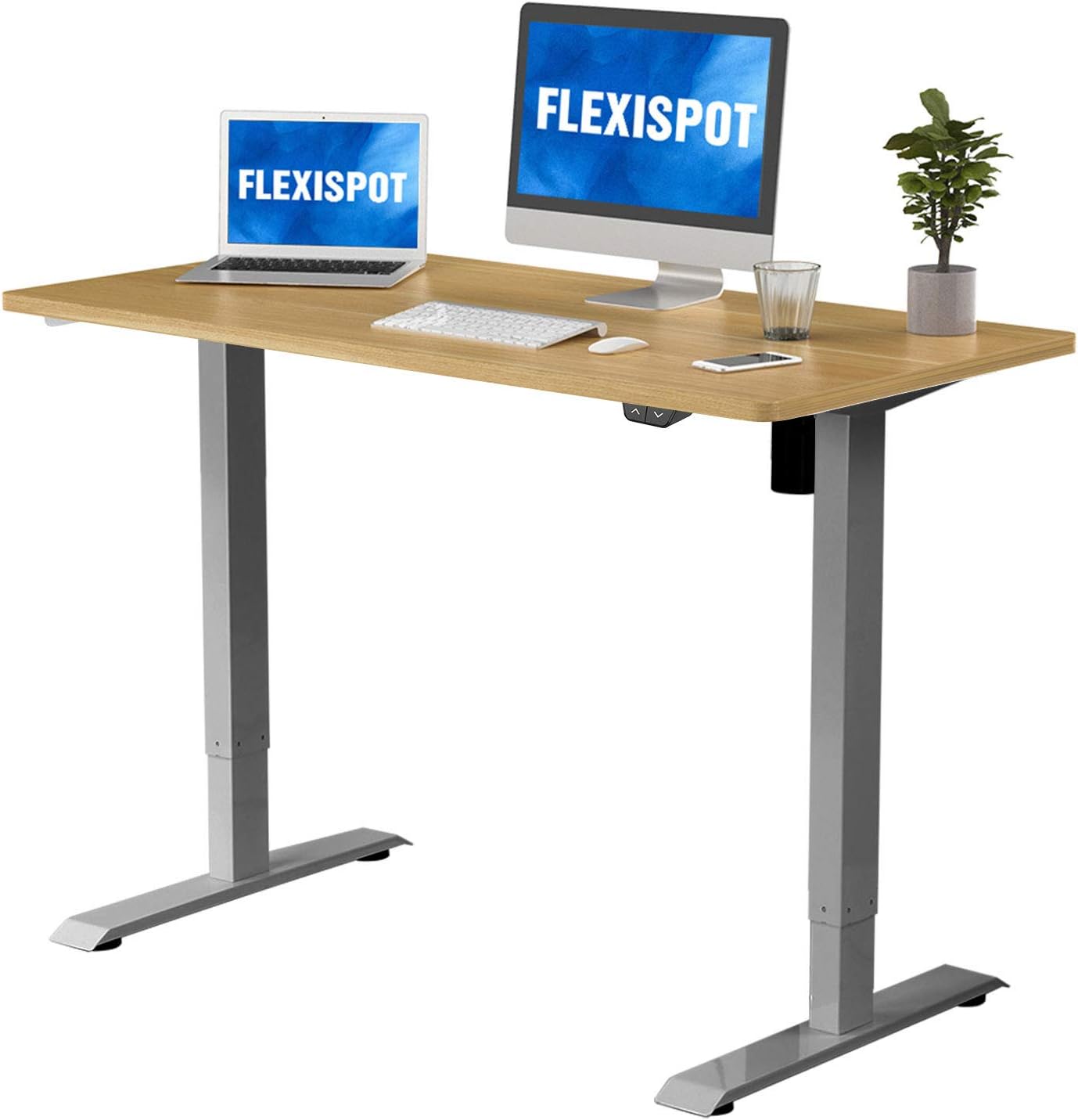 FLEXISPOT EC1 Height Adjustable Desk 48 x 24 inch Electric