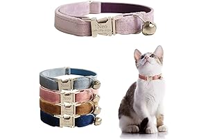 Customized Velvet Cat Collar with Engraved Name Plate and Bell