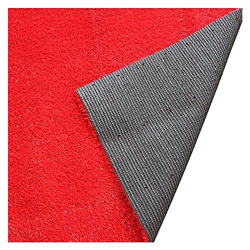 KJoBDwz Gazon artificiel rouge, gazon synthétique alternatif pour extérieur, facile à nettoyer, tapis de pelouse synthétique pour piscine (50 x 200 cm)
