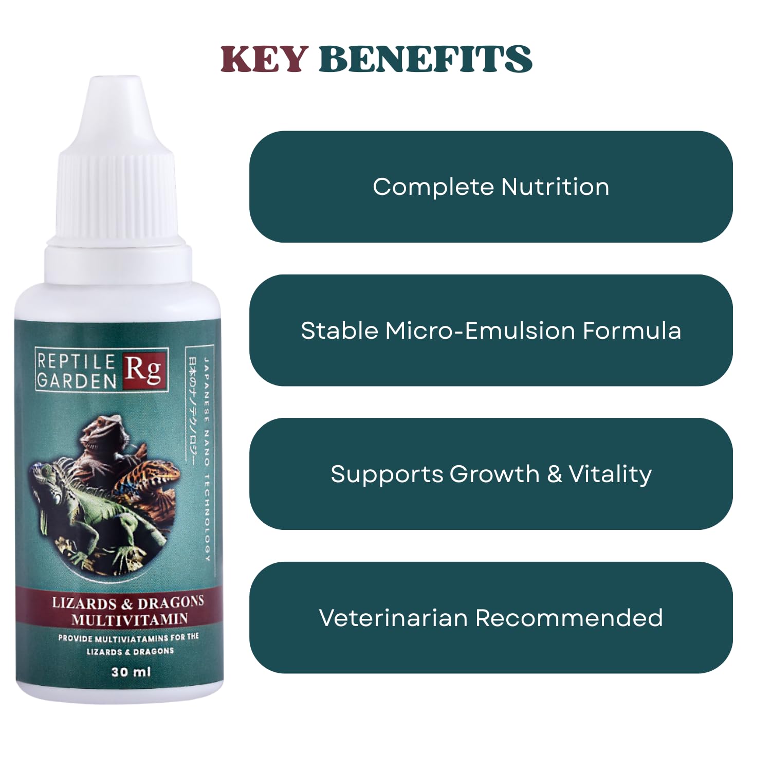 Reptile Garden Lizard and Dragon Multivitamin | Vital Health Support | Ensures Health, Vitality and Development of Your Reptiles (30 ml) 2