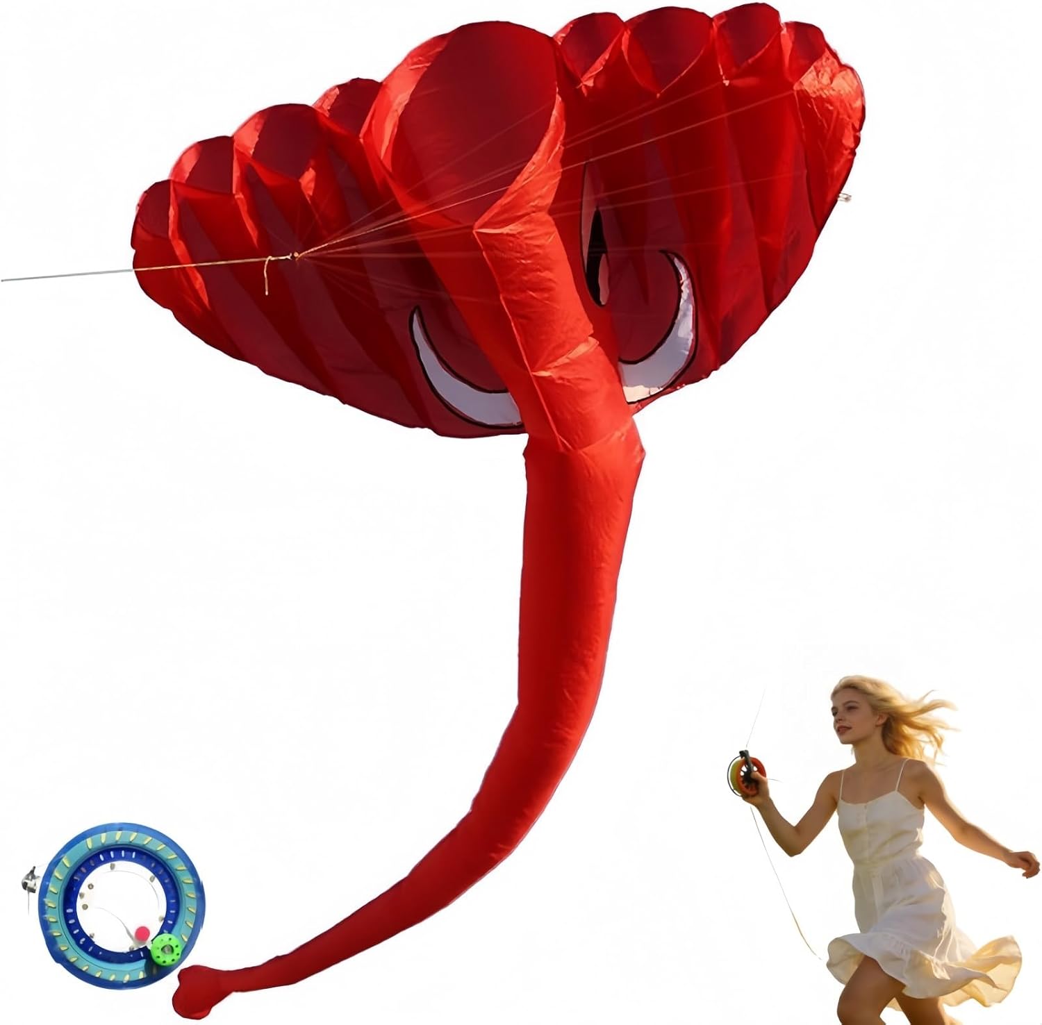 Adult Frameless Giant Kite - Easy to Fly, Nice for Outdoor Fun and Leisure Activities