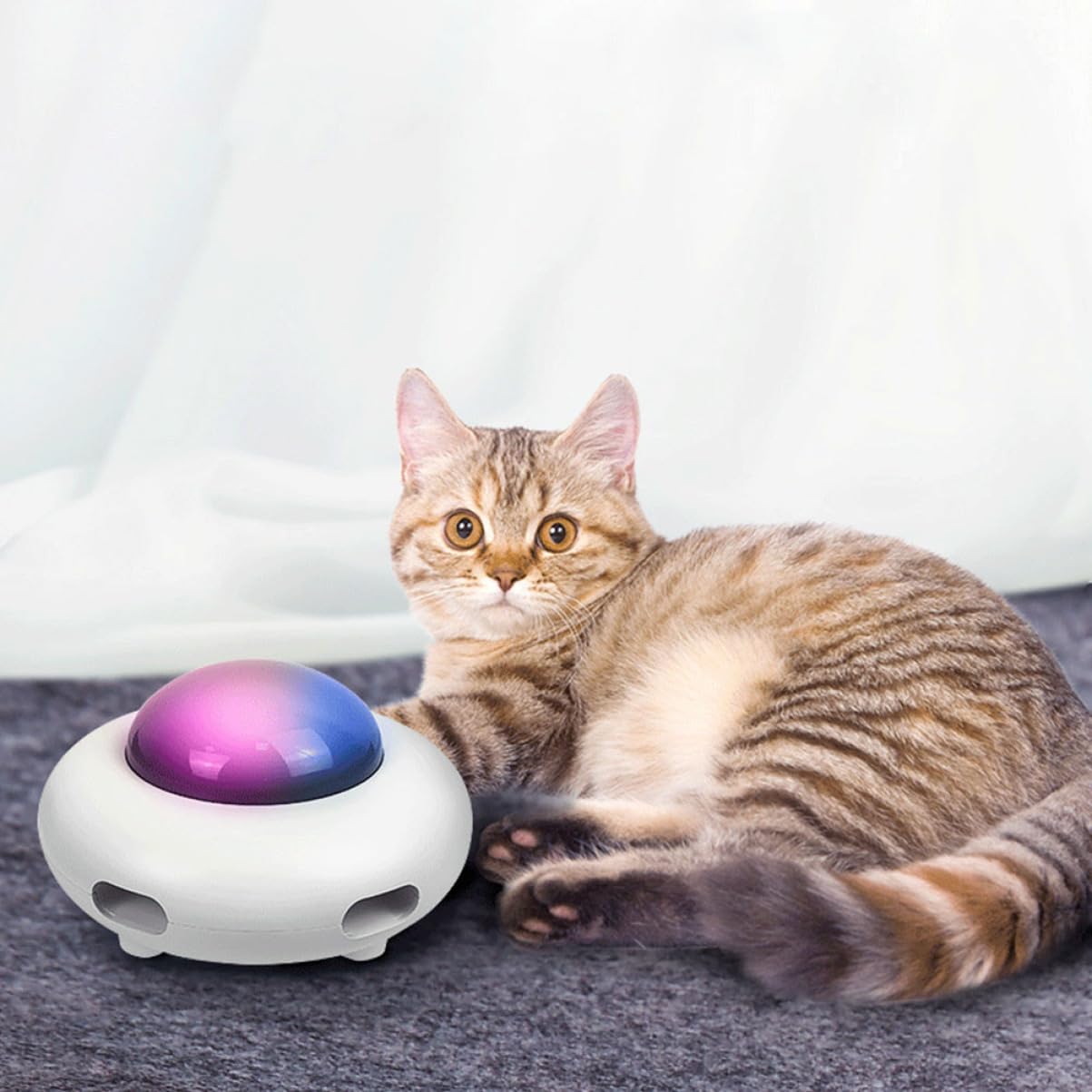 Mipcase Jouet Automatique pour Chat Ensemble De Jouets Interactifs À LED pour Taquiner Les Chats