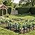 COLRASN Metal Decorative Garden Fence Rustproof Animal Barrier No Dig Decorative Fencing for Dogs,Pet, Yard,& Patio, Landscape, Border?Easy Installation 13" H×7 Ft (5 Panels)