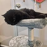 Review Image by Michelle Michelle