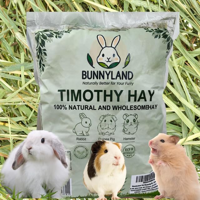 Image of Timothy Hay for Rabbits, Guinea Pigs and Hamsters for All Life Stages | 100% Natural | HIGH Fiber Food (Pack of 4)