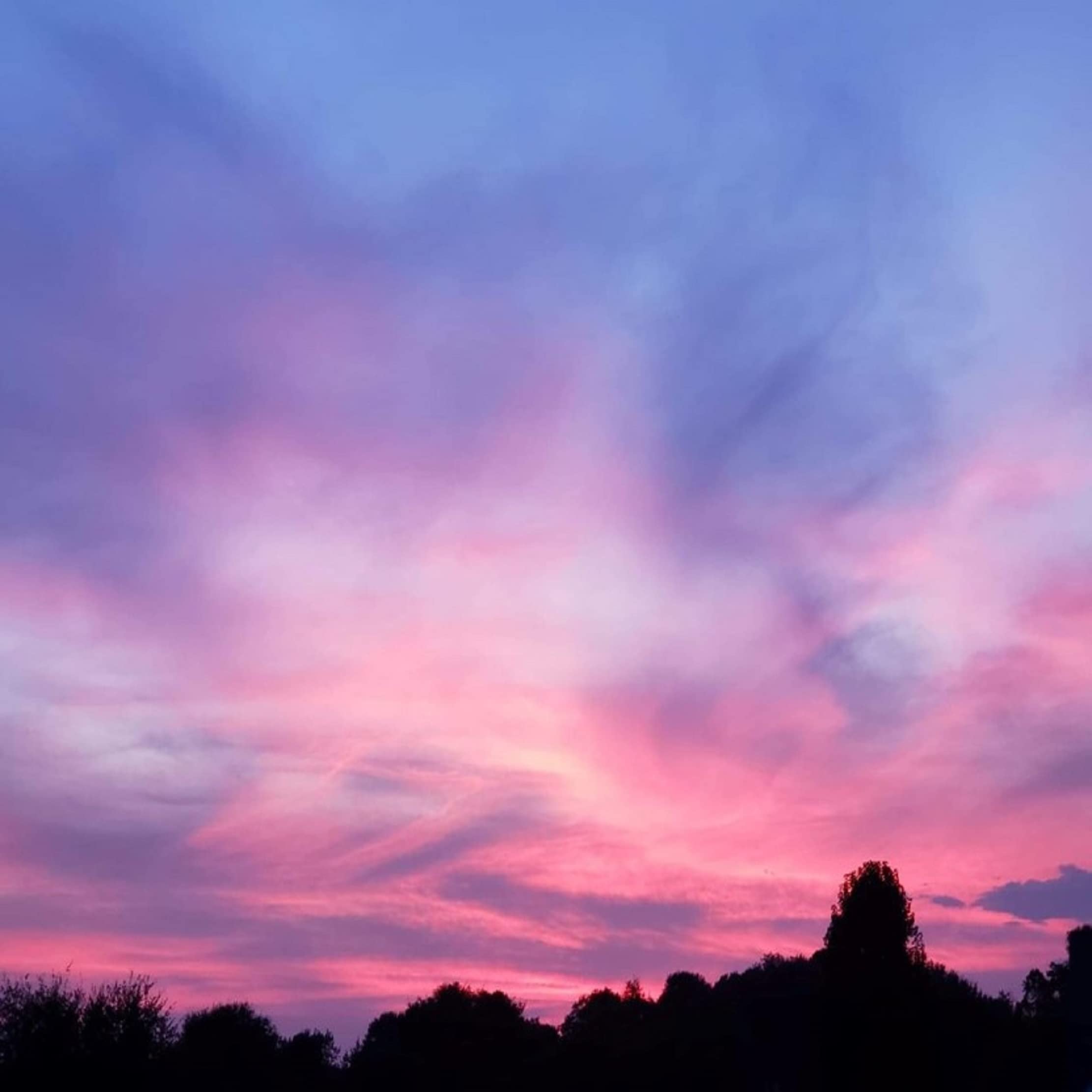 Universal Brown Waves