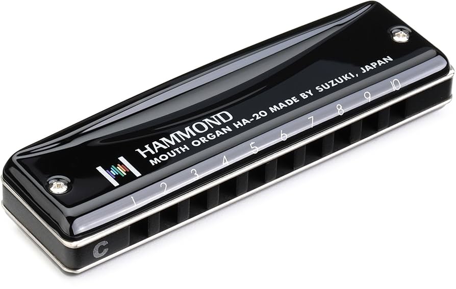 Amazon.co.jp: HAMMOND ハモンド 10穴ハーモニカ HAMMOND HA-20