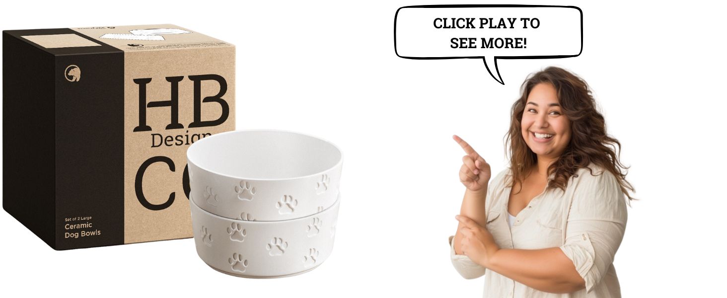 automatic water bowl for large dogs Bear Bear ProHydrate Stainless Steel Waterer 1.5 Gallons