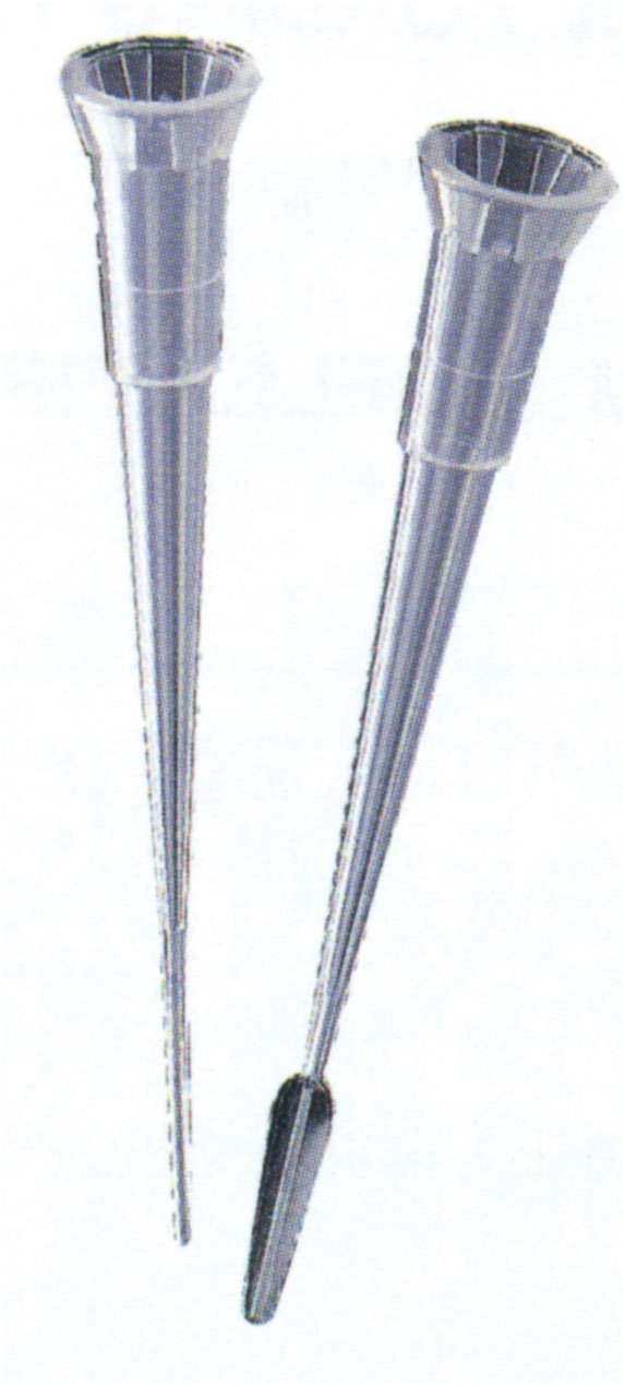 BioExcell Gel Loading Tips- Flat (0.1-10µl)- Str, PK200