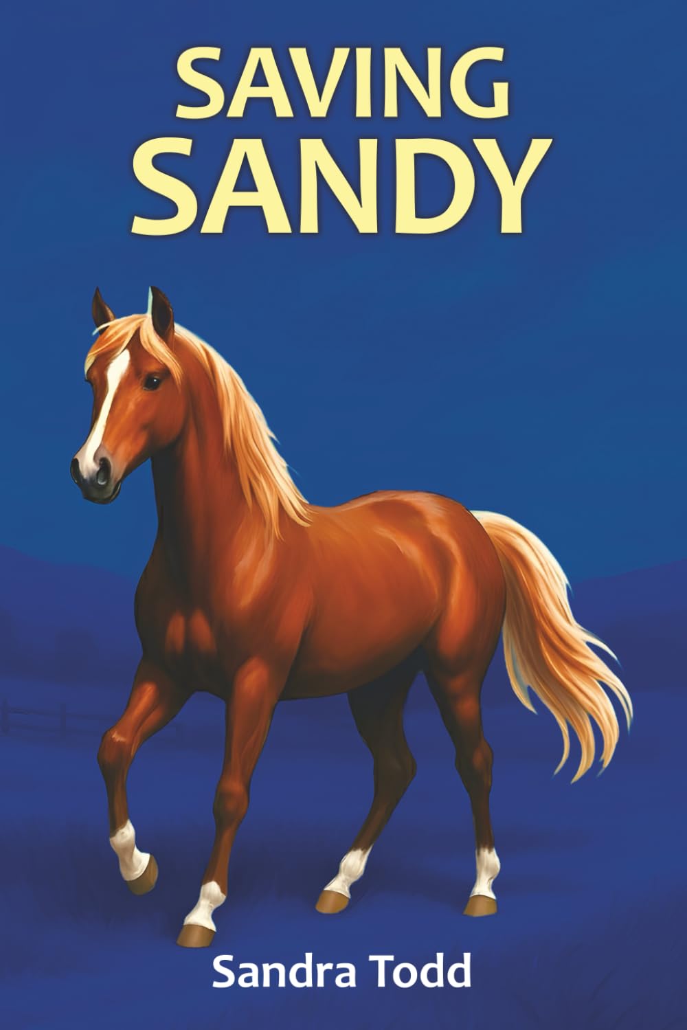 SAVING SANDY