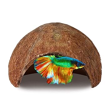 SunGrow Betta Fish Cave, 5x3 Inches, Habitat Coconut Shell, Soft-Textured Smooth Edged Spacious Hideout, Shelter for Your Pet to Rest and Breeding, Encourages Physical Activity, 1 Piece
