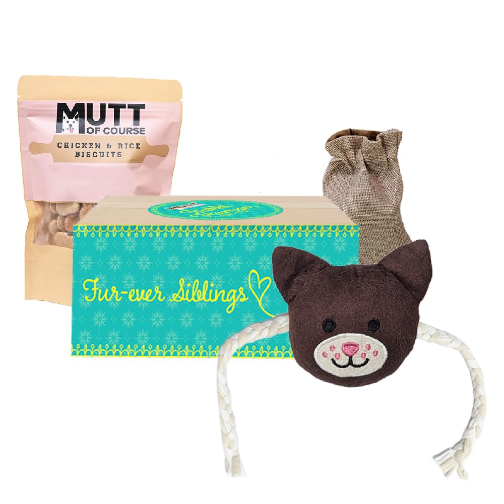 Mutt of Course Doggo Rakhi Hamper with Non-Veg Treats (with Squeaky Toy Rakhi) (B0CG2HDQRF) Amazon Price History, Amazon Price Tracker