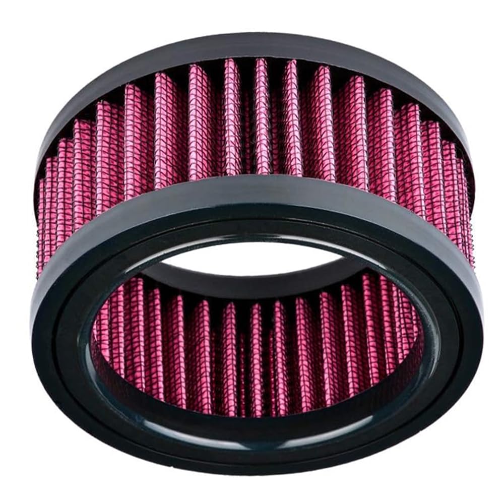 Riloer Elemento filtrante dell'aria per moto, elemento filtrante dell'aria per moto Compatibile con Harley Sportster Iron XL 883 XL1200 Sport Nightster 72 Forty-Eight 1991-2021