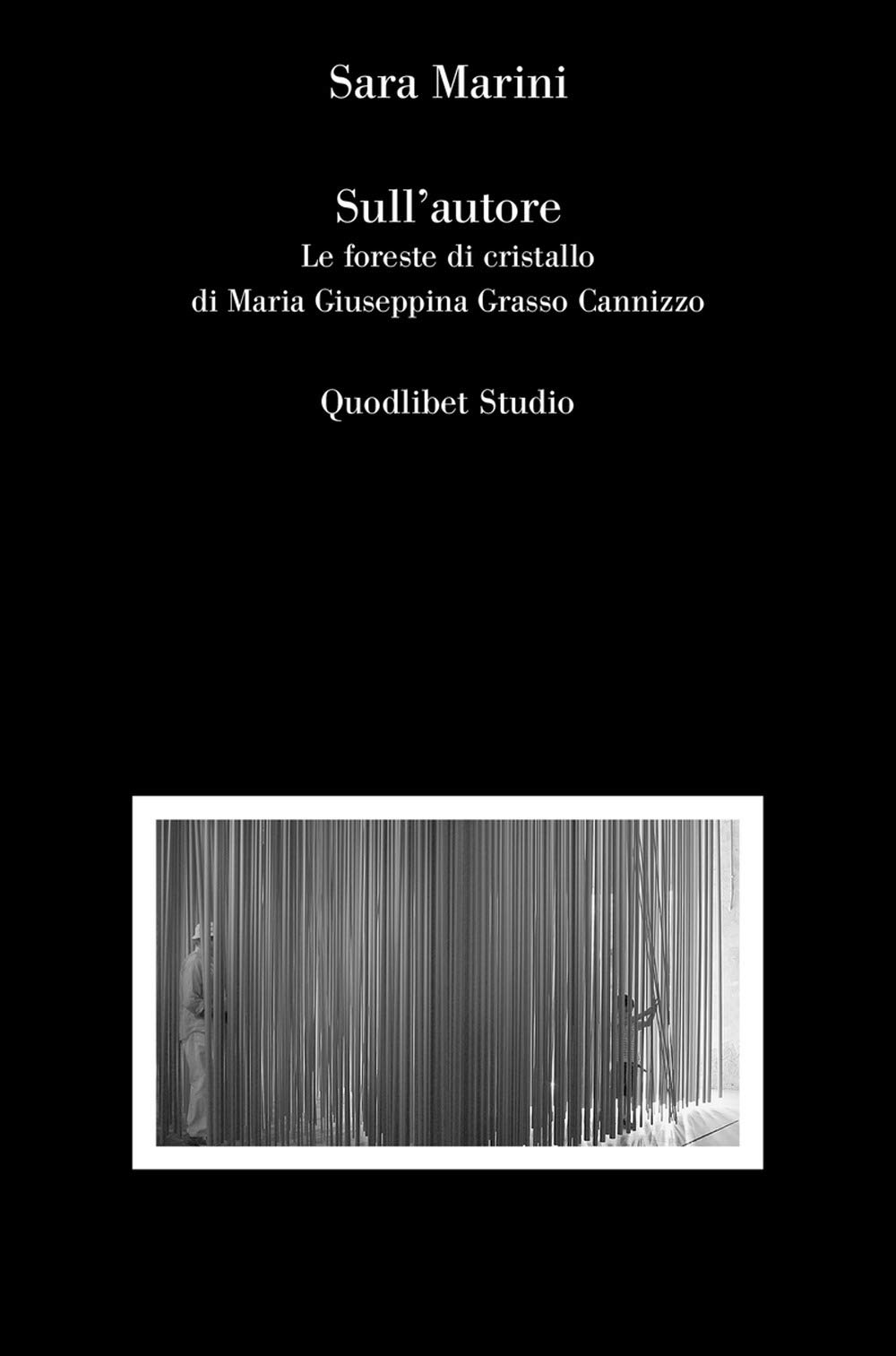 Sull’Autore. Le Foreste Di Cristallo Di Maria Giuseppina Grasso Cannizzo - 4