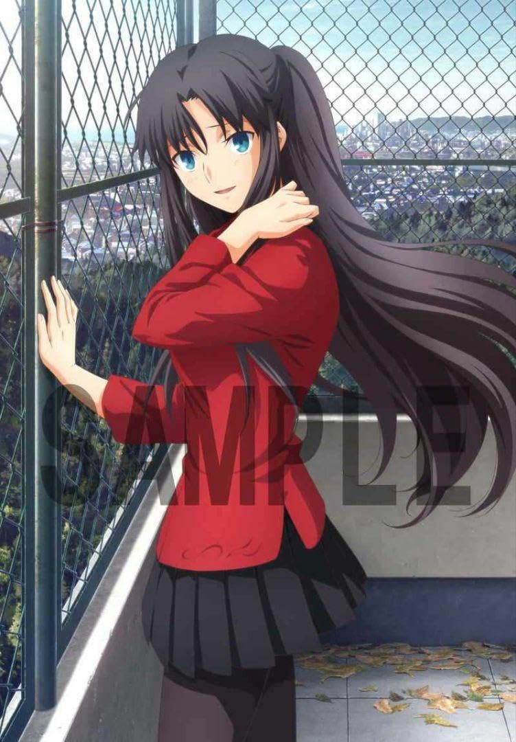 Amazon.co.jp: 遠坂凛 Fate stay night HF とらのあな特典 B2 