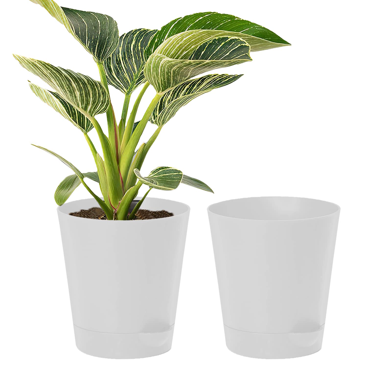 Kuber Industries Plastic Titan Pot|Garden Container for Plants & Flowers|Self-Watering Pot with Drainage Holes,6 Inch,Pack of 2 (White) (B0BBLZ3FZY) Amazon Price History, Amazon Price Tracker