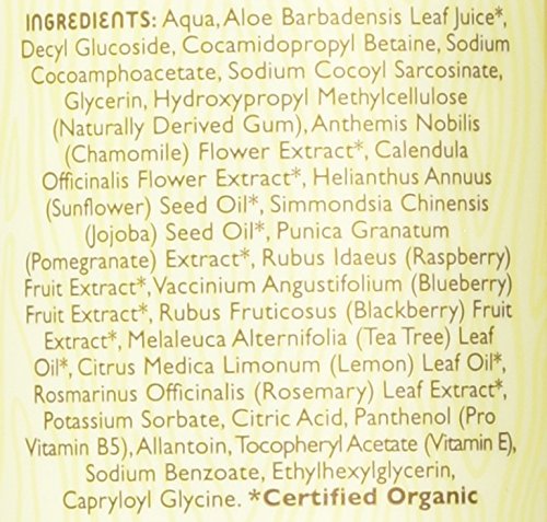Image of Little Twig Baby Wash, Natural Plant Derived Formula, Berry Pomegranate, 8.5 fl oz (Pack of 2)