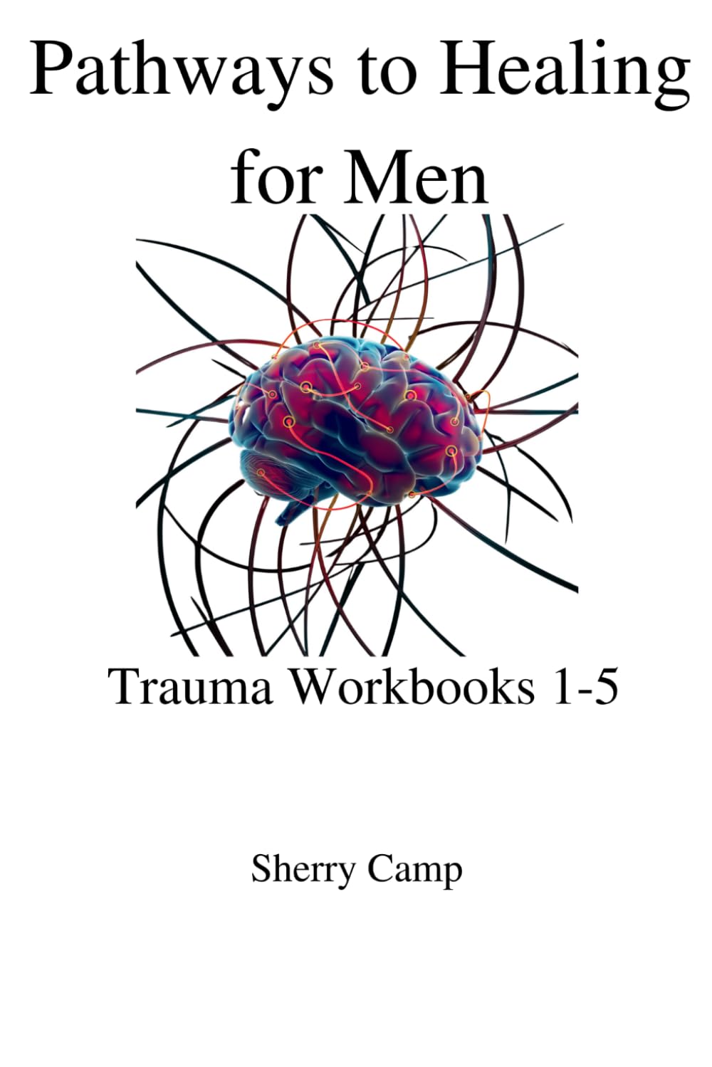 Pathways to Healing for Men: Trauma Workbooks 1-5 (Pathways to Healing Trauma Workbooks)
