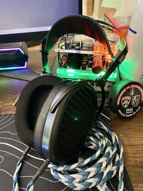 HIFIMAN Arya Stealth Magnet headphones showing window shade grill and asymmetrical ear cup design