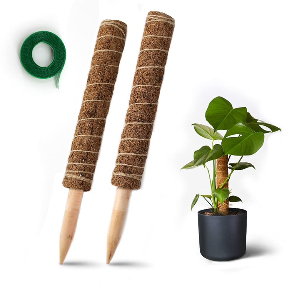 Buy 2 Packs 26.7 Inches Moss Pole Coir Poles Sphagnum Moss Pole Moss