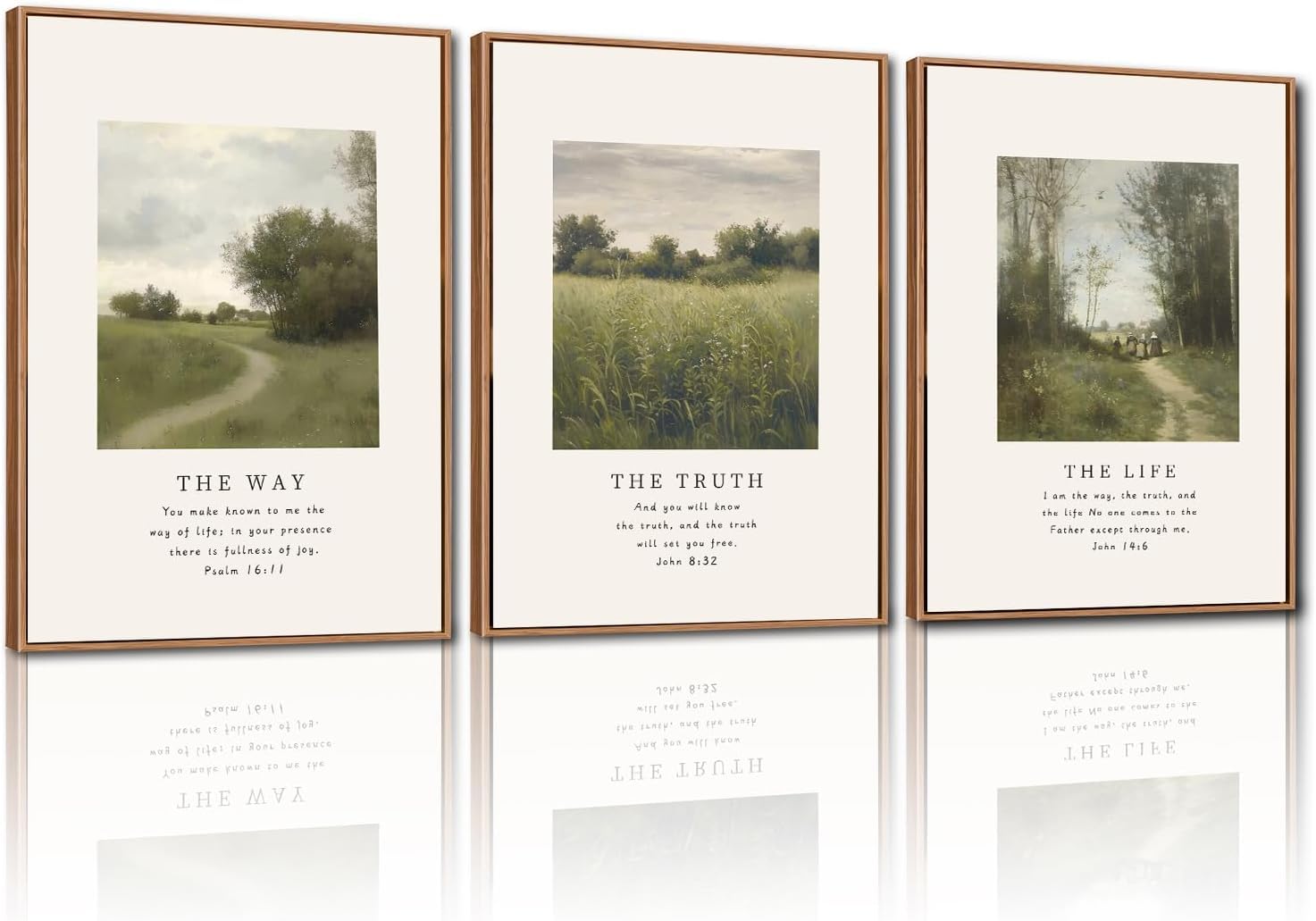 TOARTi Boho Framed Canvas Wall Art Prints,Set of 3 Mid Century Modern Wall Decor,Nature Plants Desert Sun Art Paintings,Bohemian Artwork for Living Room,Bedroom,Dining Room,Office - 16x24inchx3 — view 10