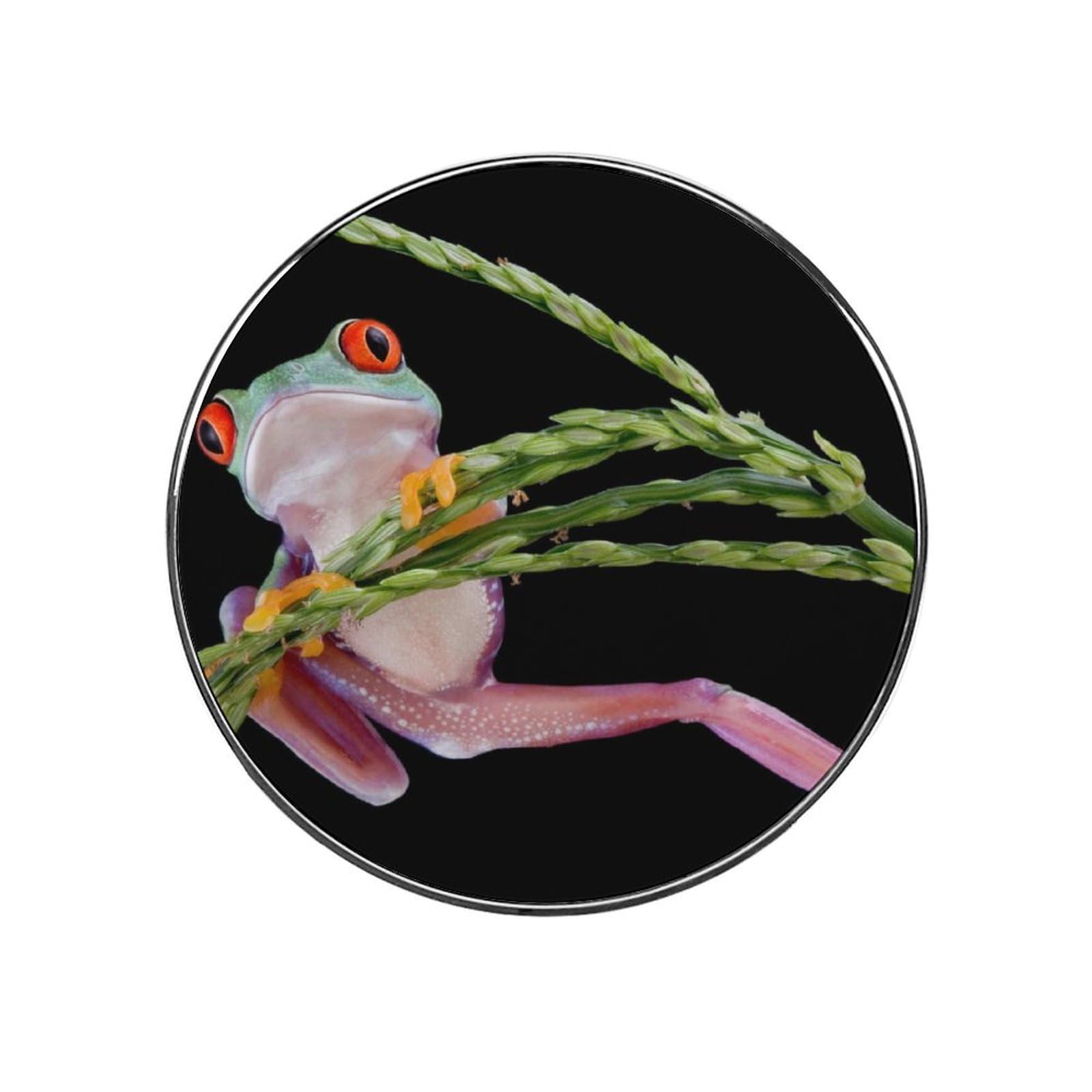 Tree Frog Alloy Fridge Magnet For Office Cabinet Refrigerator Whiteboard Photo