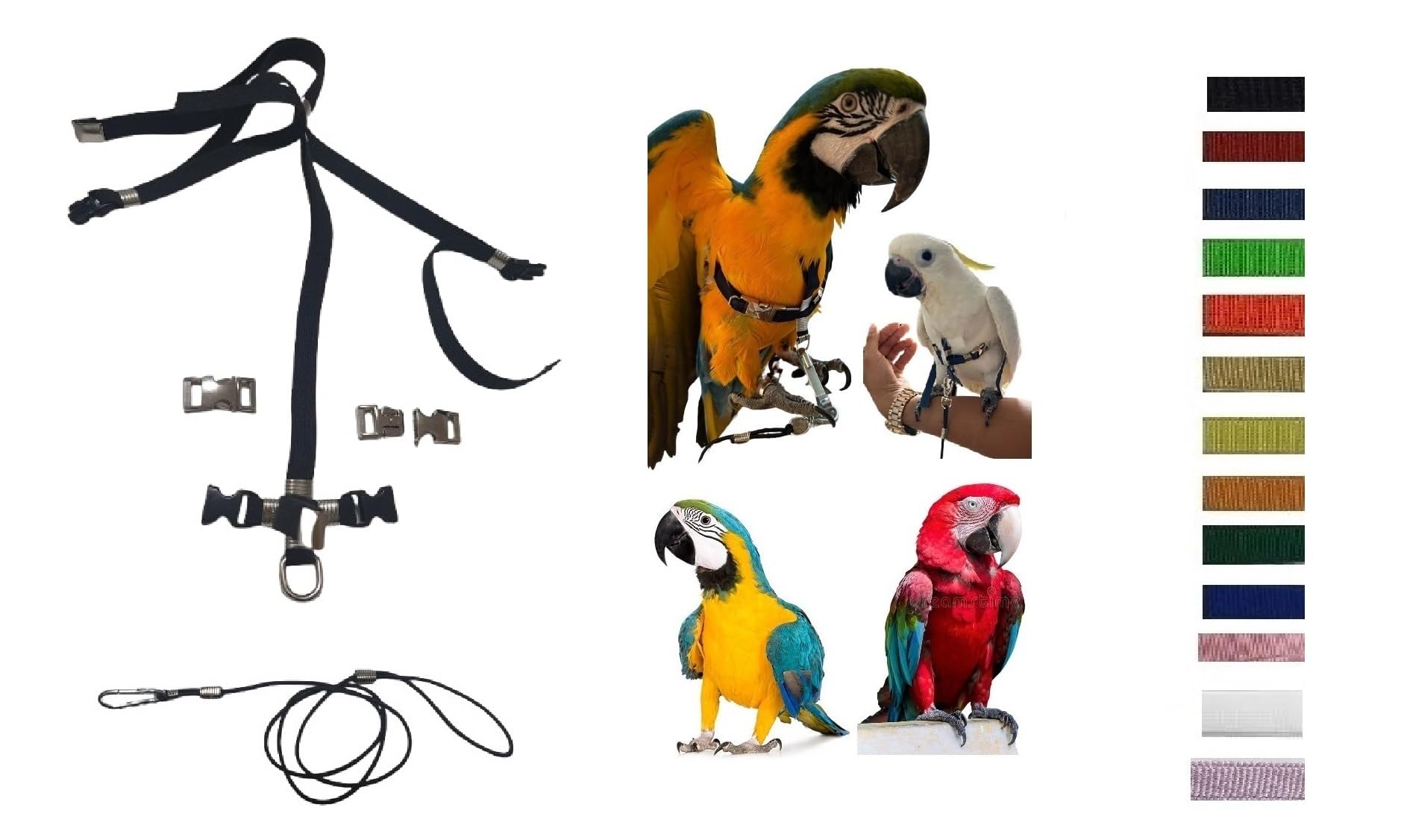 PETTORINA REGOLABILE PER PAPPAGALLI MISURA ARA O CACATUA elastico 10 mm 2 attacchi ACCIAIO REGOLABILI COLLO NERO, GUINZAGLIO 3mm nero PR (NERA FIBBIE METALLO)